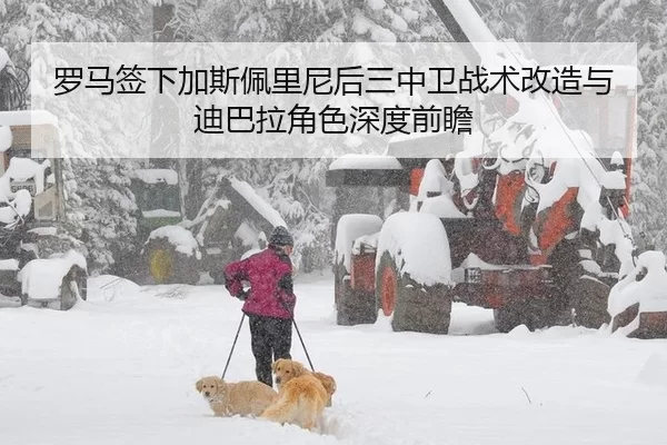 罗马签下加斯佩里尼后三中卫战术改造与迪巴拉角色深度前瞻